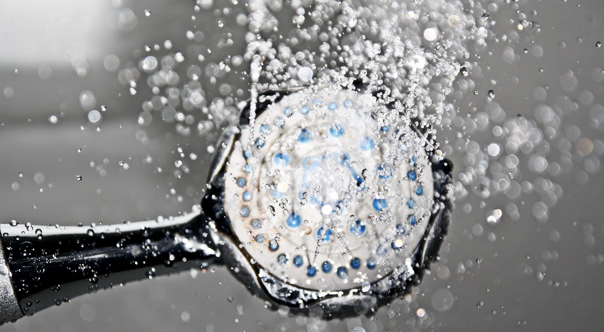 Shampoo Day